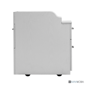 AVIGNON Pedicart with Back Cabinet - 2-Drawer