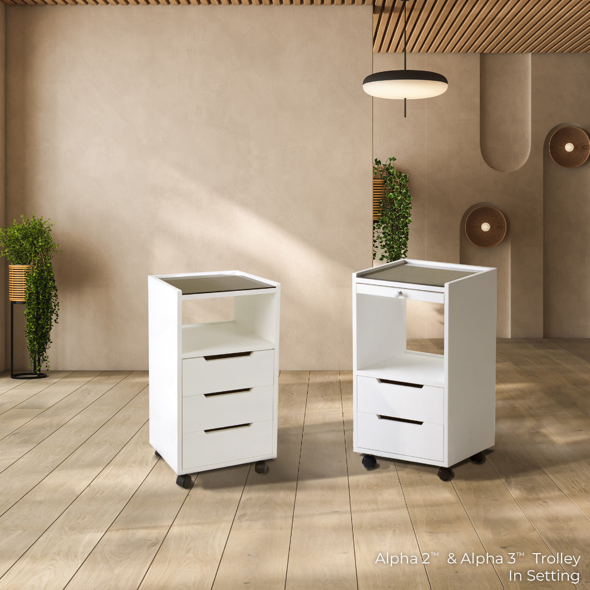 Living Earth Crafts - Alpha 3™ Trolley product image 2